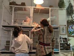 -小时光咖啡馆(北锣鼓巷店)