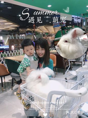 【遛娃】0距离小动物畅撸｜小香猪等你喂