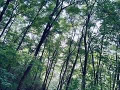 -封龙山风景区