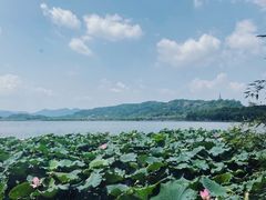 -湖畔居茶楼(湖滨店)