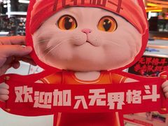 -燃无界格斗·拳击搏击体能馆(优品道店)