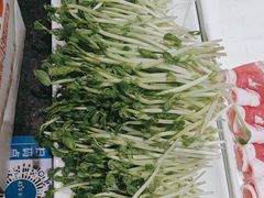 -蒙都43°9羊火锅(平庄店)