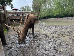 -溱湖国家湿地公园