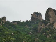 -大岭沟猕猴桃谷风景区