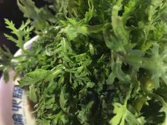-大渝火锅(苏州西城永捷店)