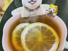 -逗柴咖啡屋·狗咖猫咖宠物桌游