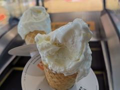 -野人先生现做冰淇淋(北京顺义祥云小镇店)
