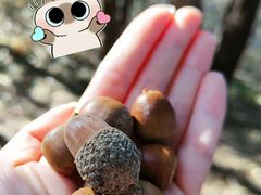 -鹫峰国家森林公园