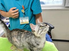 -美联众合动物医院·24h京西诊疗中心