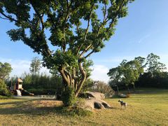 -上海崇明金茂凯悦酒店