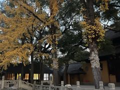 -西园戒幢律寺