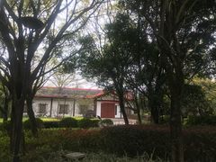 -金山公园