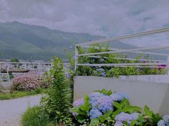-唐咖精品咖啡(大理古城手冲店)