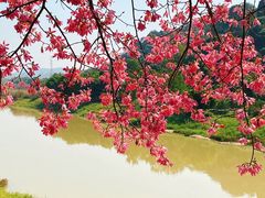 -风云岭森林公园