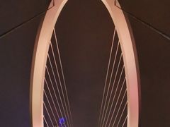 -南京眼步行桥