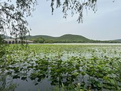 -云龙湖旅游景区