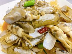 炒圣子-胖嫂海鲜饭店