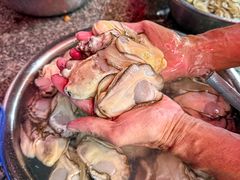 -花苑美食横琴生蚝火锅(拱北粤华路店)