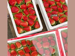 -堤口果品批发市场