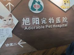 -美联众合宠物医院·爱萌分院·内外科·猫科中心