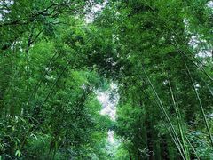 -同里国家湿地公园