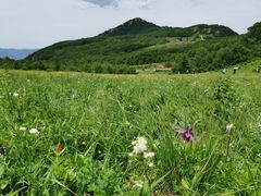 -白草畔自然风景区