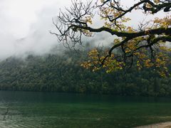 -柯尼希湖