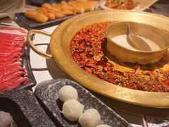 -哥老官重庆美蛙鱼头(日月光店)