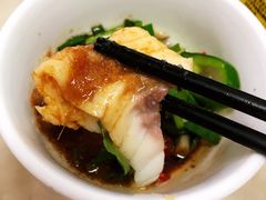 -源港渔村-中山脆肉鲩(博罗店)