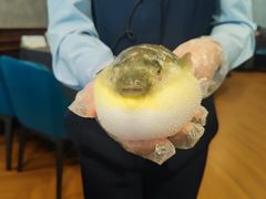 -肆月河豚·新淮扬(金融街店)