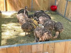 -水上乐园·欢乐世界