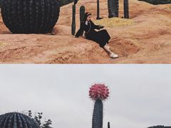 -西海岸生态观光园