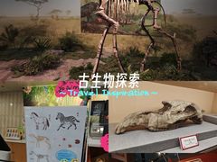 -天津自然博物馆