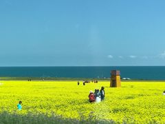 -青海湖国家重点风景名胜区