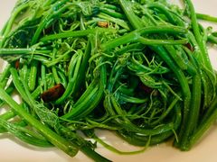 炝炒丝瓜尖-尘香•传统川菜(创汇首座店)