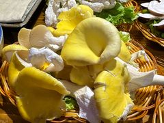 -民食香·腊排骨野生菌美食(木府店)