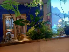 -马家斑.鲜鱼火锅(松湖万科店)