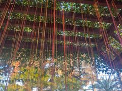 -祥源·阜阳生态乐园