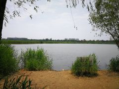 -绿堤公园