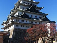 -名古屋城