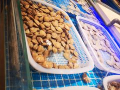 -万象·复兴号鲜肉烤肉海鲜自助(升级店)