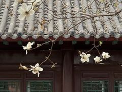 -护国法轮寺