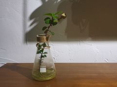 -MAISON门前杂货店
