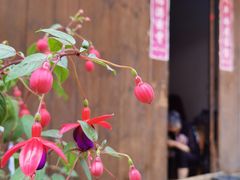 -海窝子古镇
