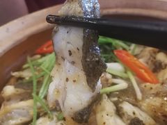 -美极鲜食坊(宝安南路店)