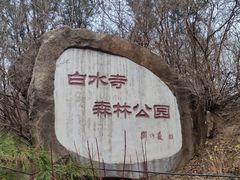 -白水寺森林公园