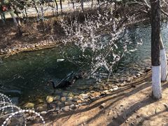 -长白岛森林公园