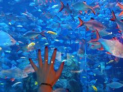 -成都浩海立方海洋公园