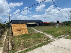 -美家乐农庄·露营·团建(大治路店)