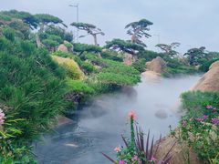 -罗红摄影艺术馆